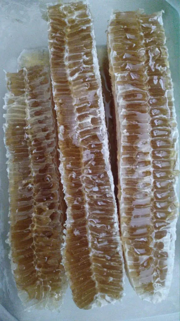 Miel en panal o en brescas 500g 2