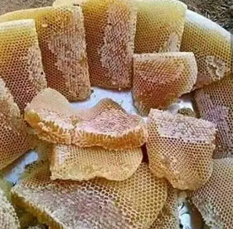 Miel en panal o en brescas 500g 3
