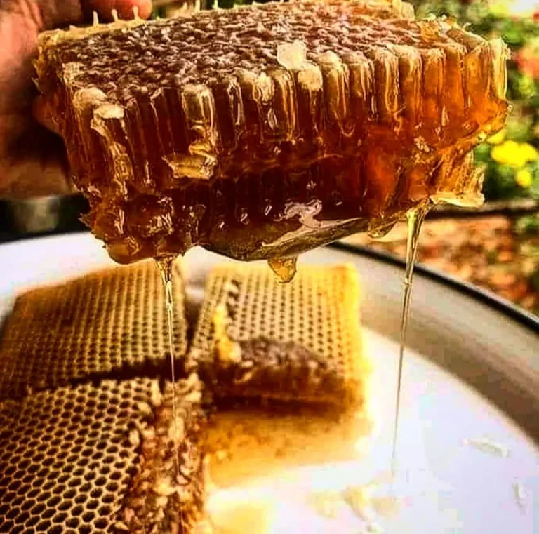 Miel en panal o en brescas 500g 4